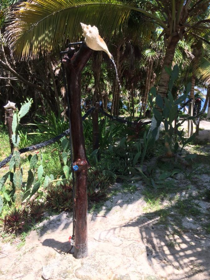 מאהאהואל Chez Gigi - Eco Lodge מראה חיצוני תמונה
