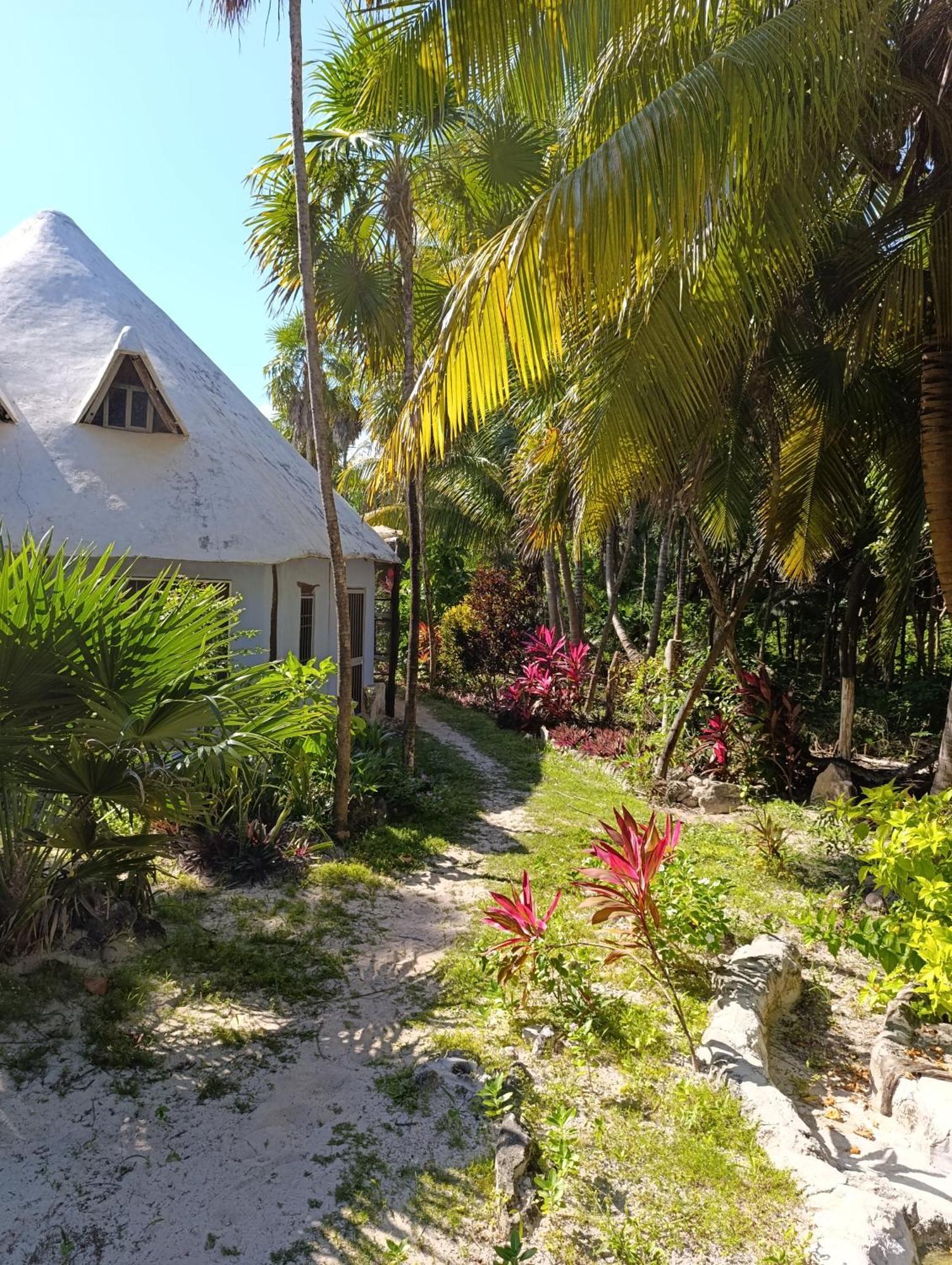 מאהאהואל Chez Gigi - Eco Lodge מראה חיצוני תמונה