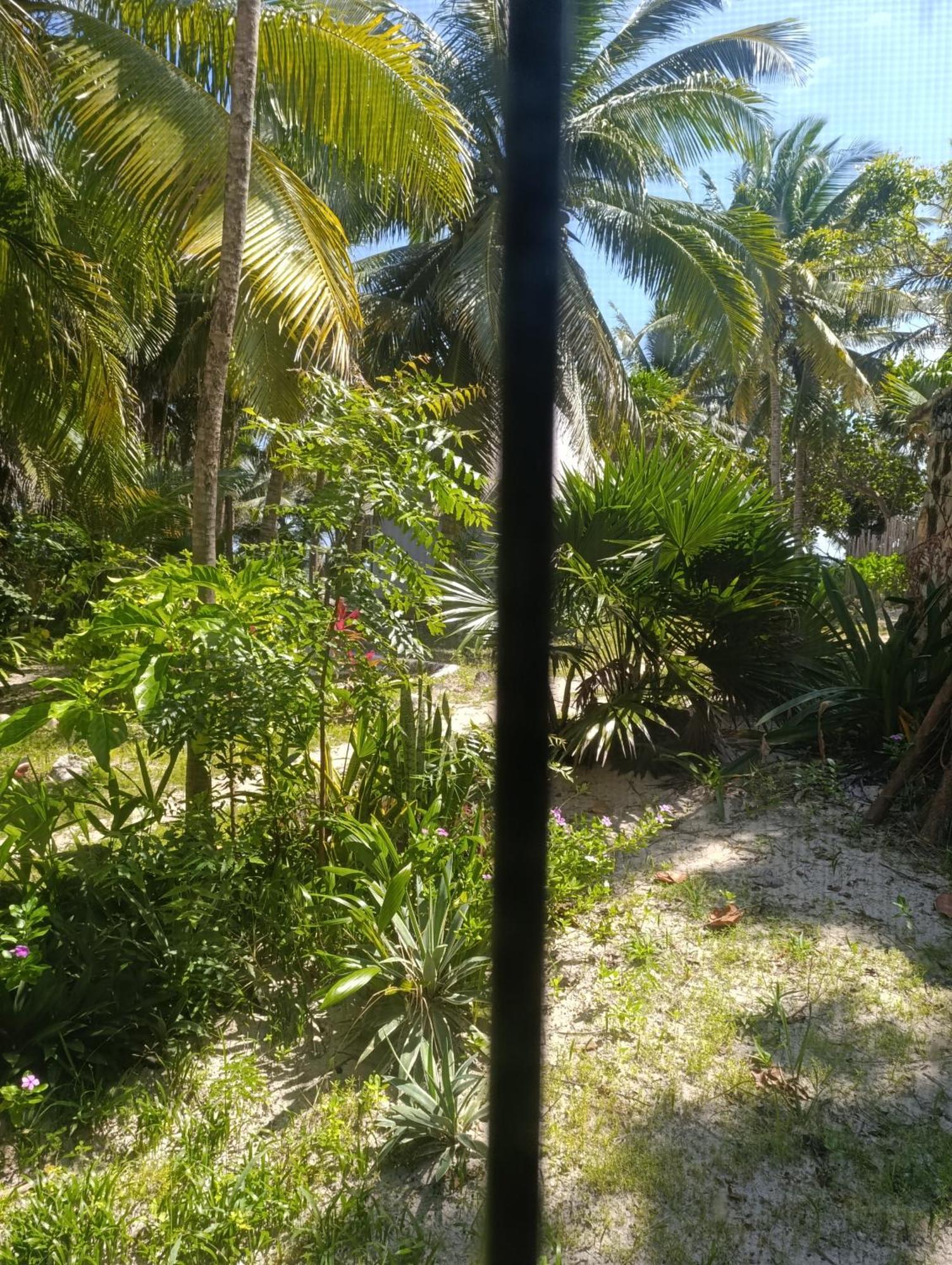 מאהאהואל Chez Gigi - Eco Lodge מראה חיצוני תמונה