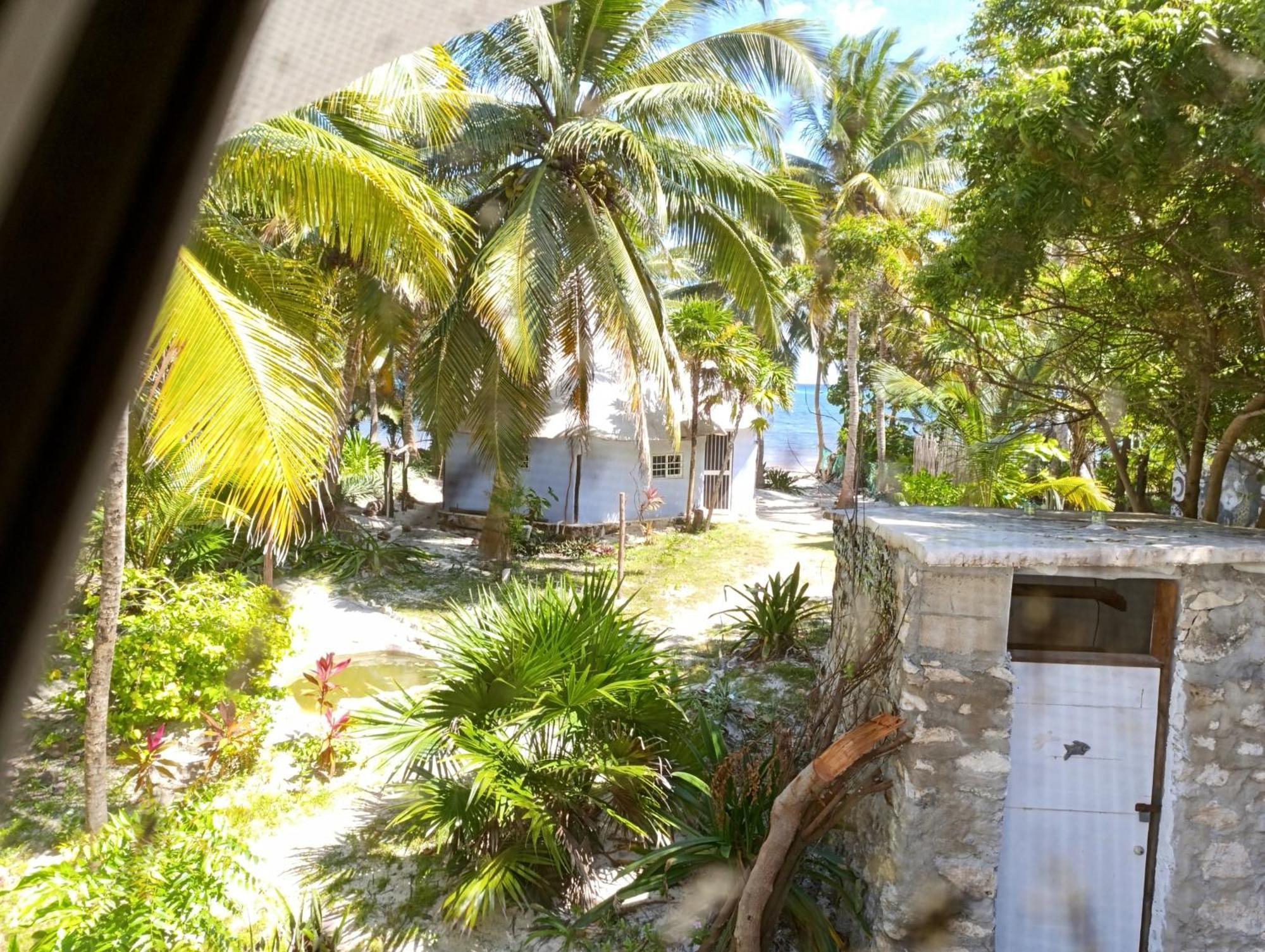 מאהאהואל Chez Gigi - Eco Lodge מראה חיצוני תמונה